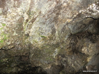 otta di monte Dolce-10-02-2013 13-54-05